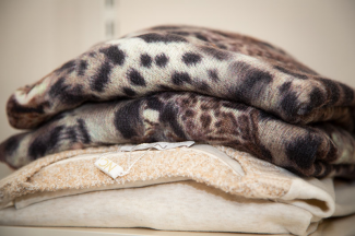 Pullover mit Animalprint