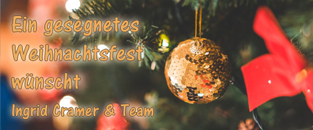 Frohe Weihnachten wünscht Mode mit Stil